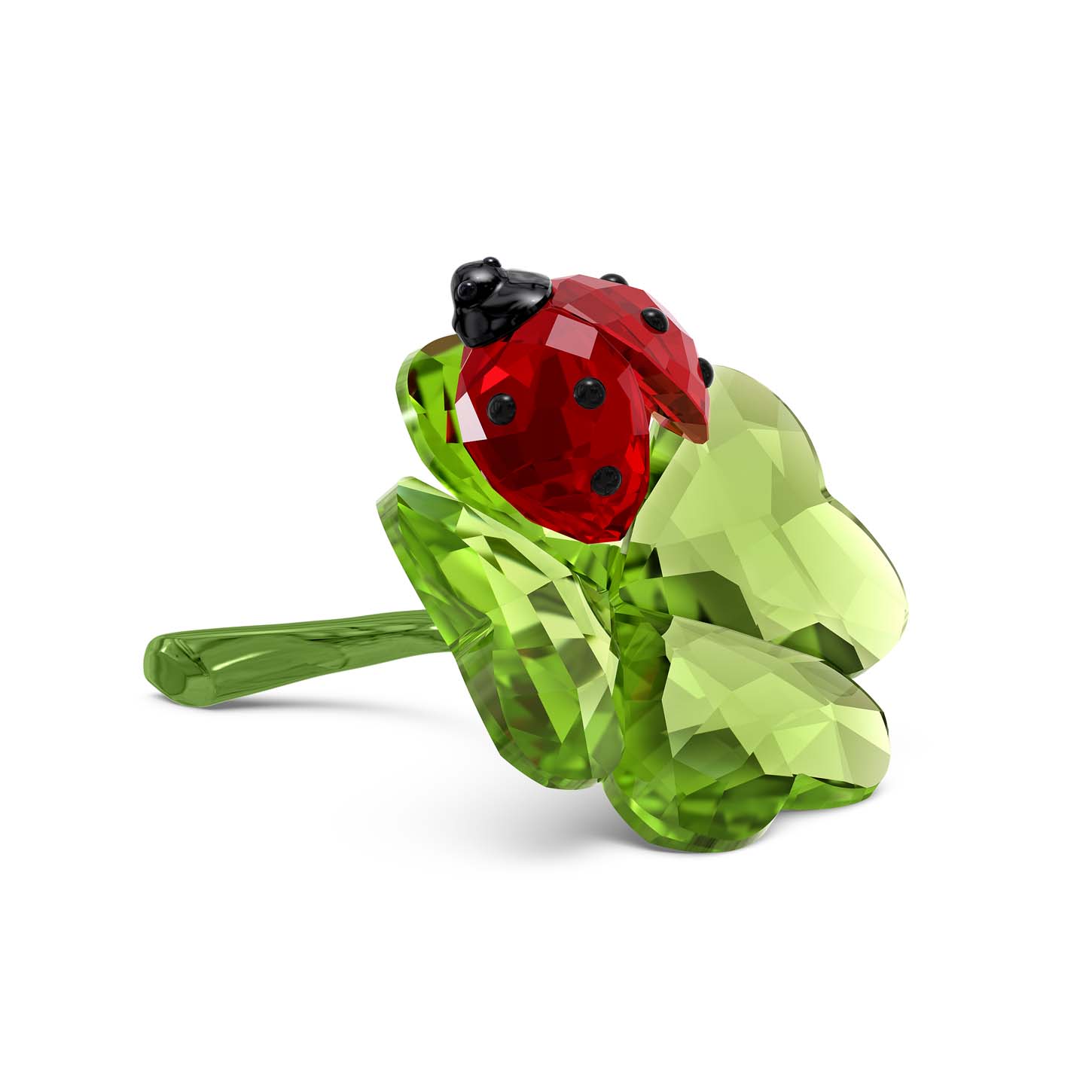 Idyllia Coccinella e Quadrifoglio