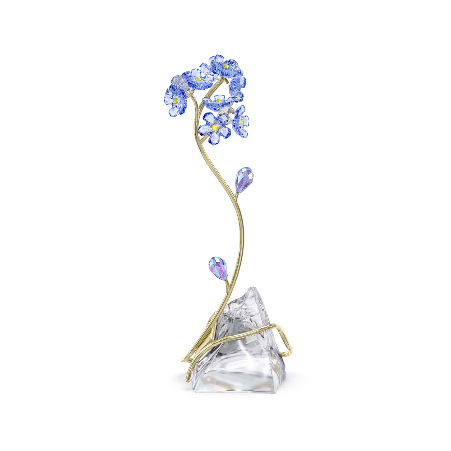 Florere Non ti scordar di me