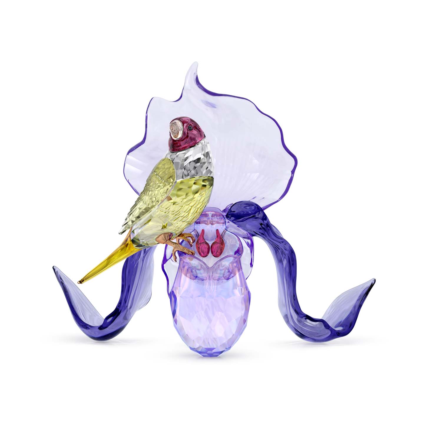 Idyllia Diamante di Gould e Orchidea