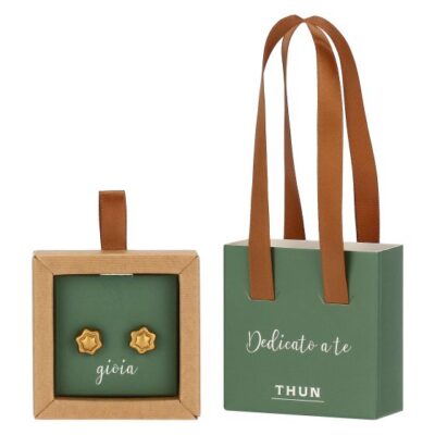 Orecchino pin stella