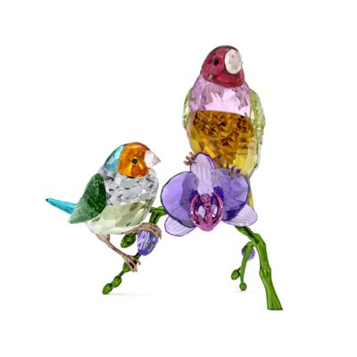Idyllia SCS Edizione Annuale 2024 Diamanti di Gould
