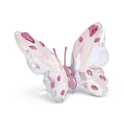 Idyllia Farfalla, Piccola