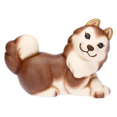 Husky Alaska in ceramica, medio